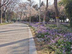 -泰州凤城河风景区-泰山公园