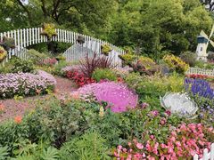 -上海共青森林公园