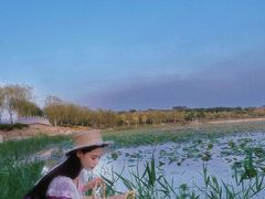 -天津东丽湖风景区