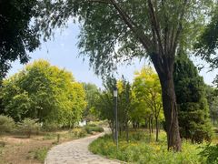 -石家庄市植物园