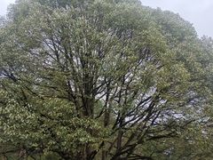-生态园山庄(森林公园店)