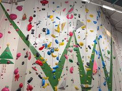 -绿壁虎攀岩基地(Tcar店)