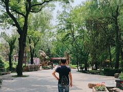 -淄博聊斋城景区