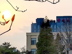 -北京化工大学(东校区)