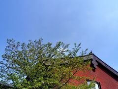 -广富林郊野公园