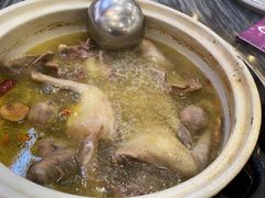 -鸽鸟轩(石岐店)