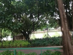 -光明港公园