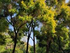 -人民公园(罗湖区)