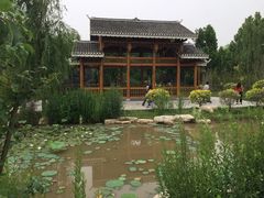 景点-武清南湖绿博园