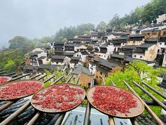 -婺源风景区
