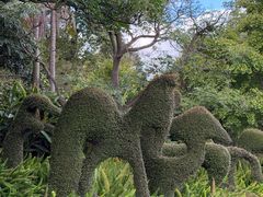 -墨尔本皇家植物园