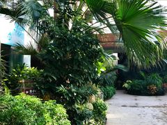 -南宫温泉水世界