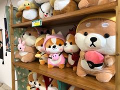 -柴迷FANS CLUB·柴犬狗咖·猫咖