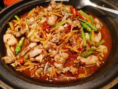 鲜椒仔姜牛蛙-蛙三泡椒牛蛙(万象城店)