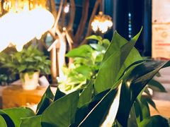 -漫咖啡(沙龙汇店)
