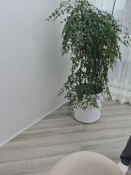 -HEYAN荷妍专业脱毛连锁机构