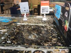 水产区-盒马鲜生(曜一城店)