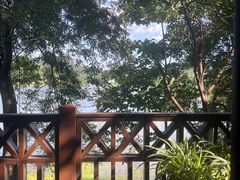 -美的鹭湖森林度假区