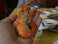 -百万葵园