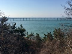 景点-星海湾跨海大桥