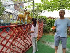 -萌宠亲子动物乐园(槐房万达店)