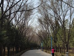 -森林公园(尖草坪区)