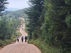 -长虫山生态公园风景林