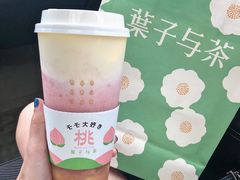 -叶子与茶(苏宁广场店)