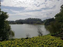 -福建鲤鱼洲酒店