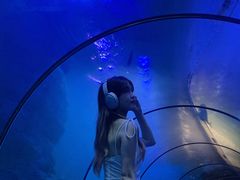 -左海海底世界
