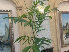 -世博源公馆·本帮融合菜·主题包厢·江景餐厅