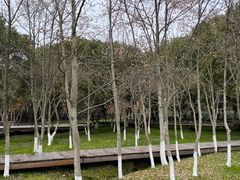 -良渚古城遗址公园
