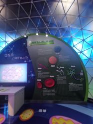 -北京科学中心儿童乐园
