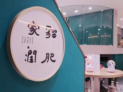 -飞行喵MR PILOT|猫舍·猫咖(静安大融城店)