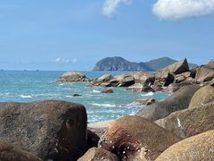 -广东惠东海龟国家级自然保护区