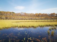 -塞罕坝国家级自然保护区