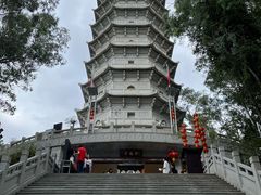 -深圳国际园林花卉博览园