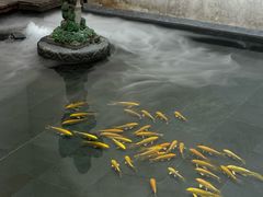 -觀芷隐轩