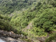 -广州白江湖森林公园