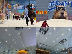 -广州热雪奇迹