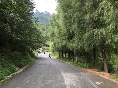 -王顺山国家森林公园