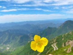 -白草畔自然风景区