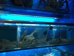 -協成海鮮火鍋(老店)