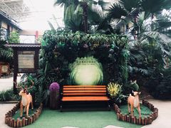 -郑州银基黄帝宫御温泉