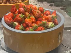 -喜家自助小火锅(乐客城店)