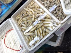 -岳各庄批发市场(西四环中路店)