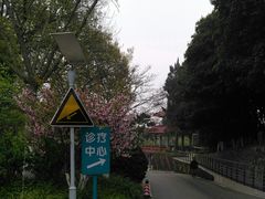 -上海市保健医疗中心(华东疗养院)