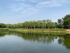 -大兴滨河森林公园