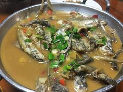 -全乐鱼馆·淳牌有机鱼直营店
