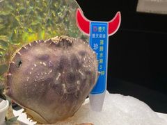 -德天肥牛海鲜火锅(城西银泰店)